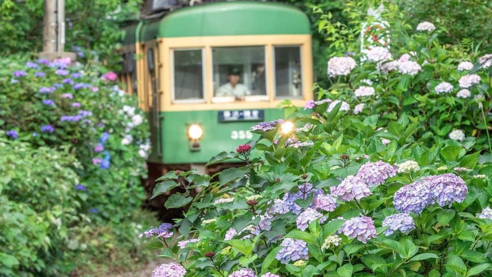 Traversing Nagoya one train stop at a time! Credit: @1_2_3_daaa on Instagram