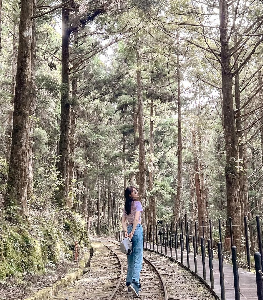 太平山國家森林遊樂區