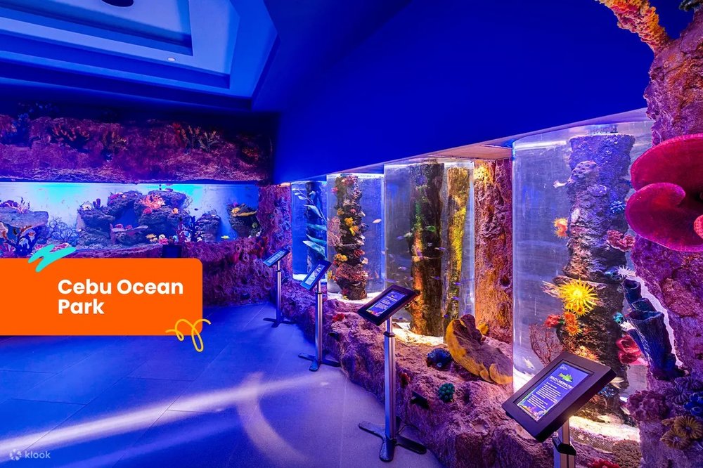 Jelly fish in an aquarium