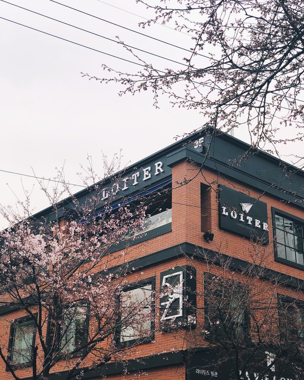 Loiter Coffee Shelter facade