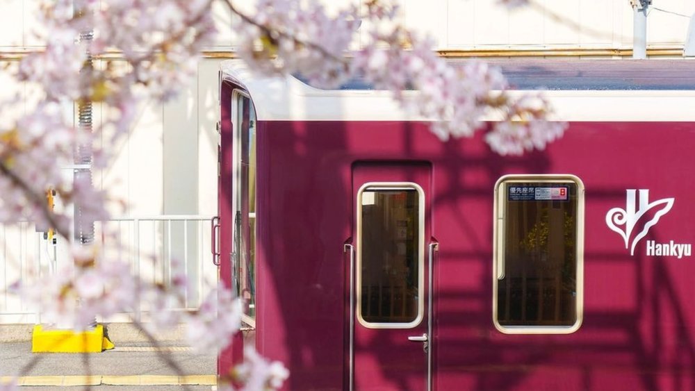 Hankyu railway, playfully peeking through a dreamy canopy of Sakura trees, adorned in its signature maroon colour!  Credits: @jpnstation on IG
