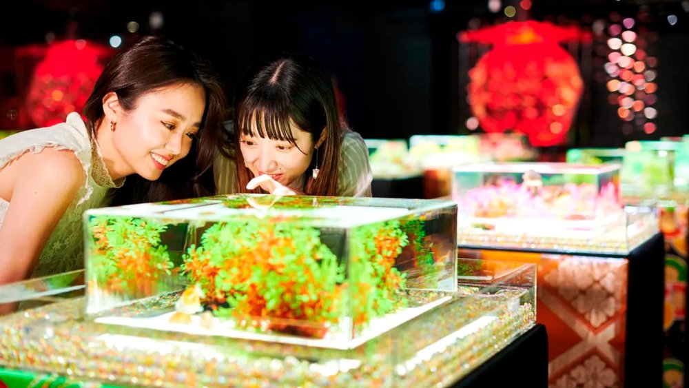 Be in awe of the breathtaking display of art and aquatic wonders! Image credits to Klook.