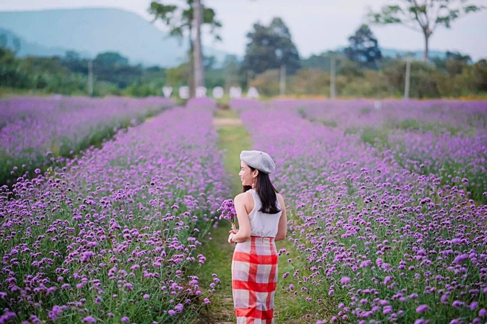 things to do in khao yai