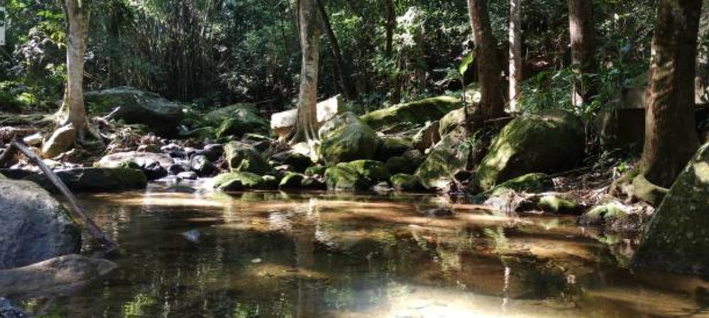 Ban Tha Cha Spring Khao Yai