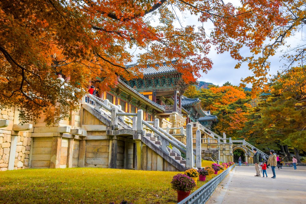Experience Fall In Korea At These Scenic Spots Klook Travel Blog