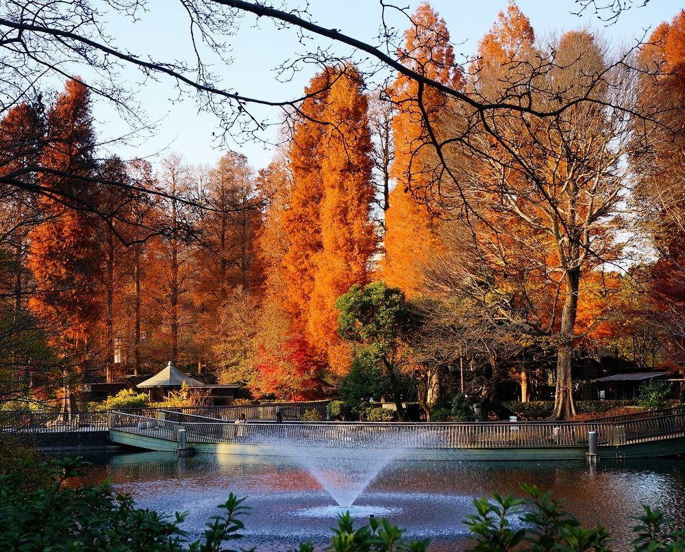 井之頭恩賜公園