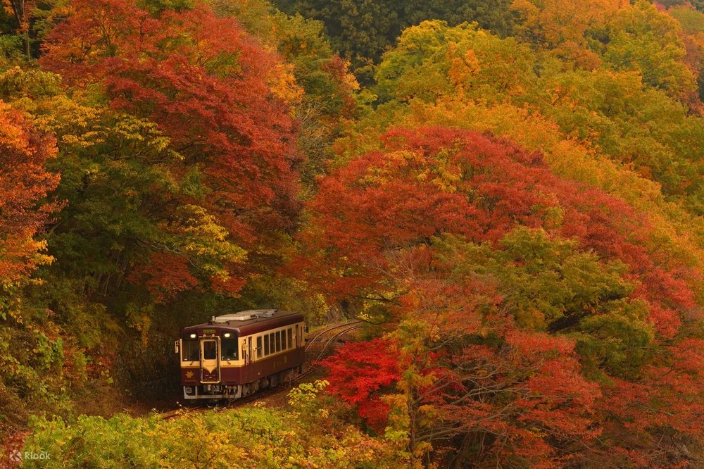 東京近郊景點-足利渡良瀨溪谷鐵道