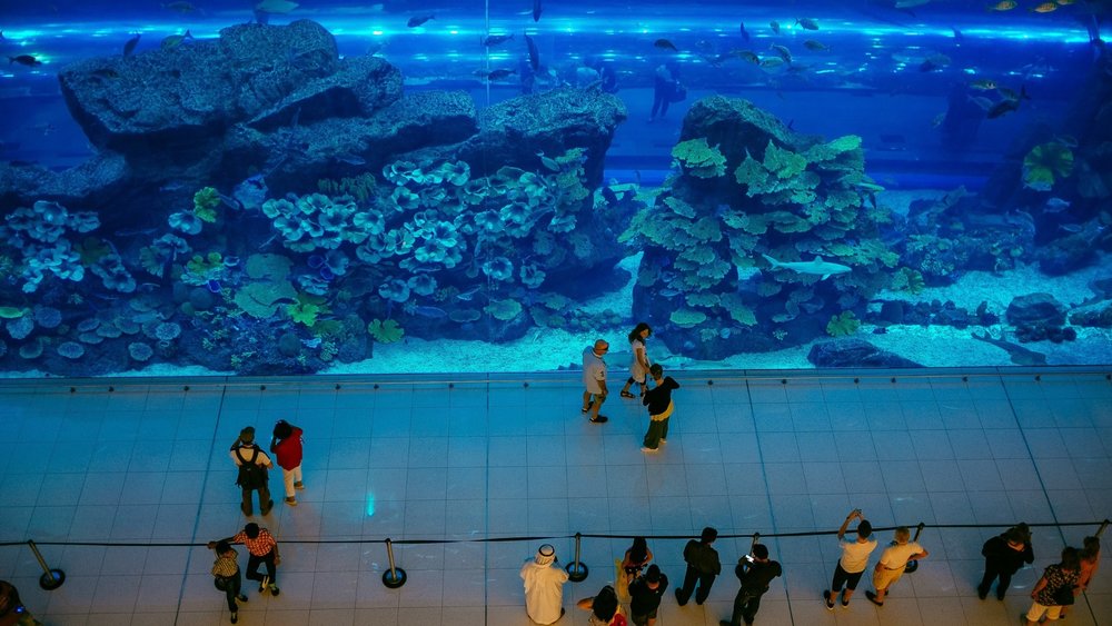 Dubai Aquarium