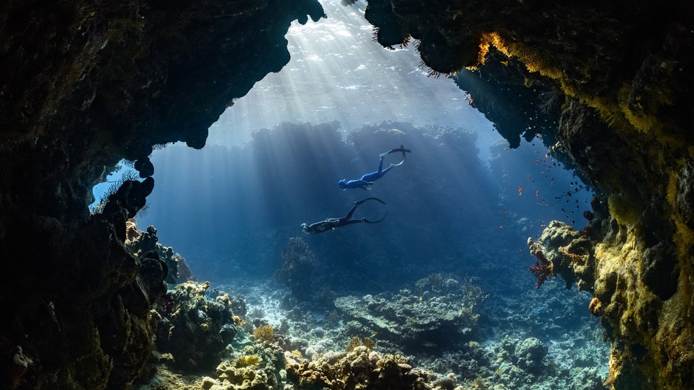 Set Your Inner Fish Free