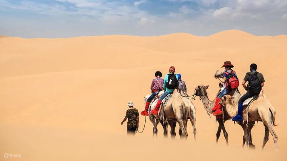 Do the Desert Safari