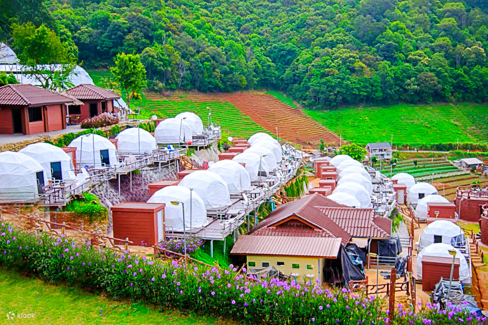 day trips from chiang mai