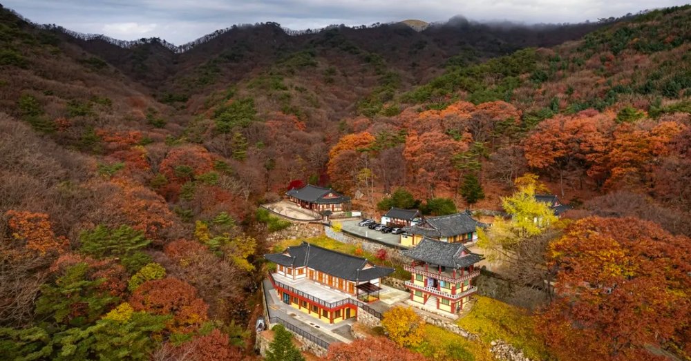 Công Viên Tự Nhiên Palgongsan - Busan