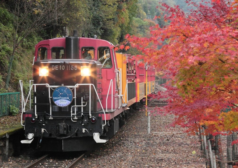 関西 紅葉 嵯峨野トロッコ列車 