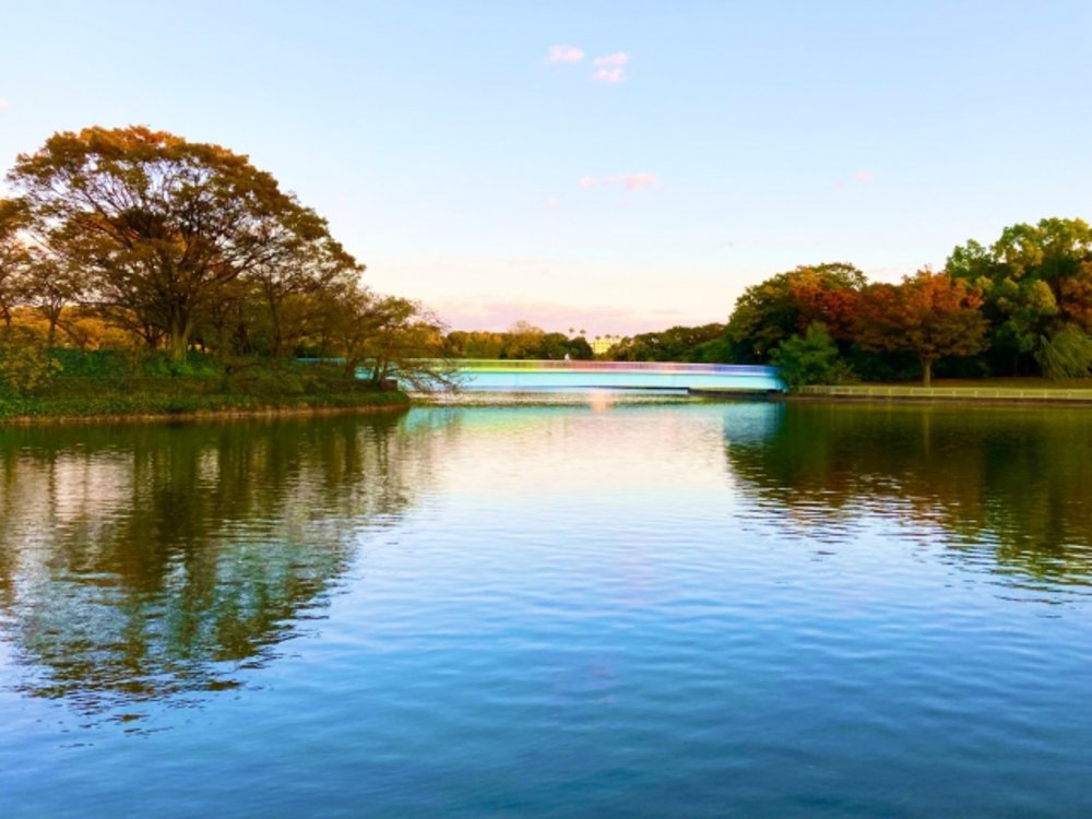 大阪 チームラボ ボタニカルガーデン 大阪市立長居植物園