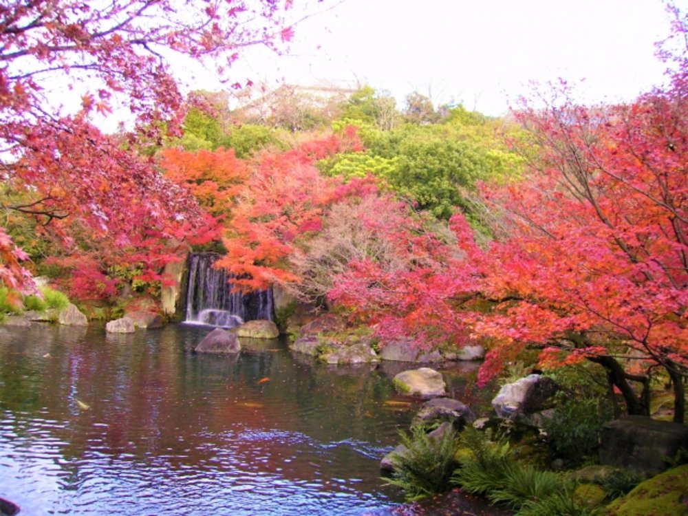 兵庫 姫路城・好古園