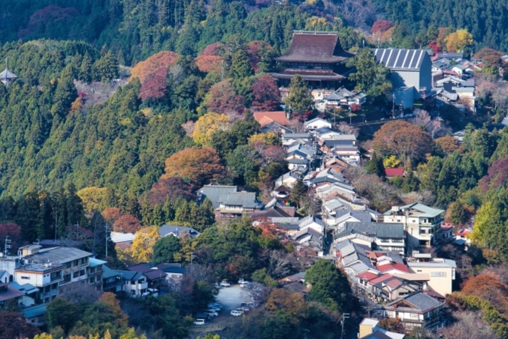 奈良 吉野山 櫻本坊からの紅葉