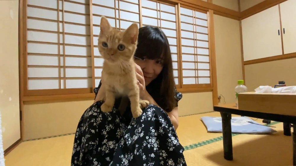 [hk] joykreator haruru