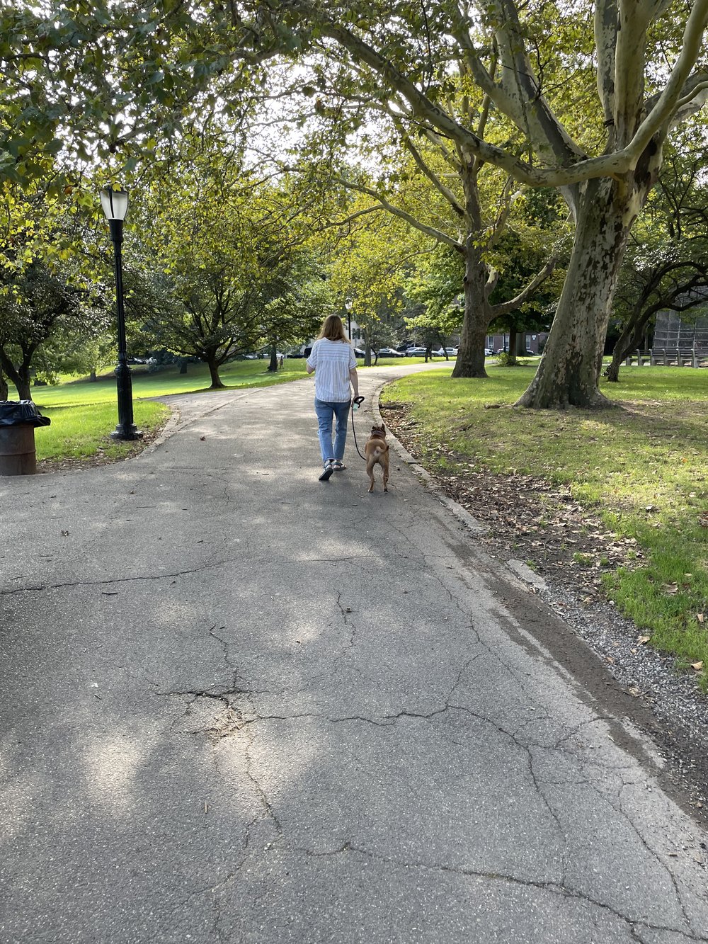 lady walking her dog in the park