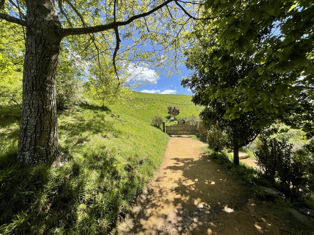 a path leading to the shire