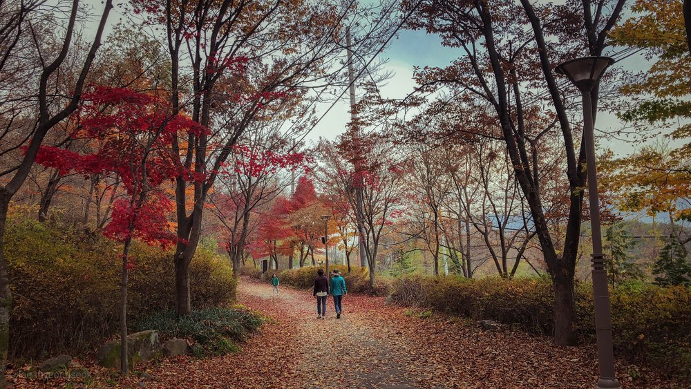 20 Best Places to See Autumn Leaves in Korea 2024 Klook Travel Blog