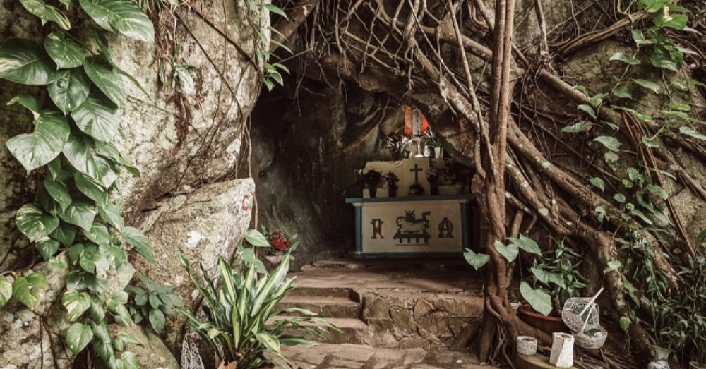vườn quốc gia côn đảo