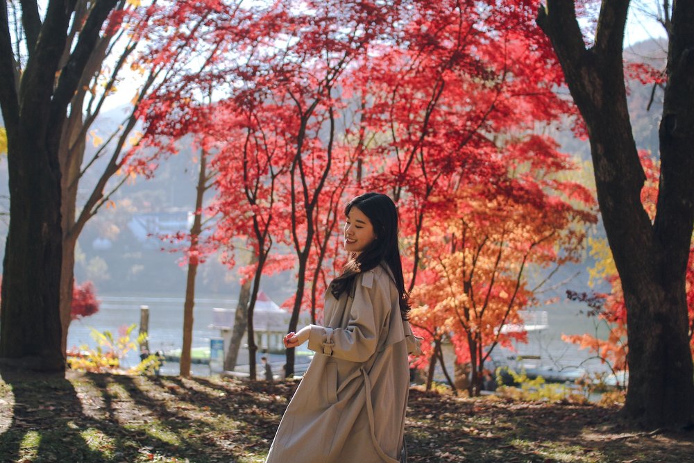 Autumn Nami Island Korea