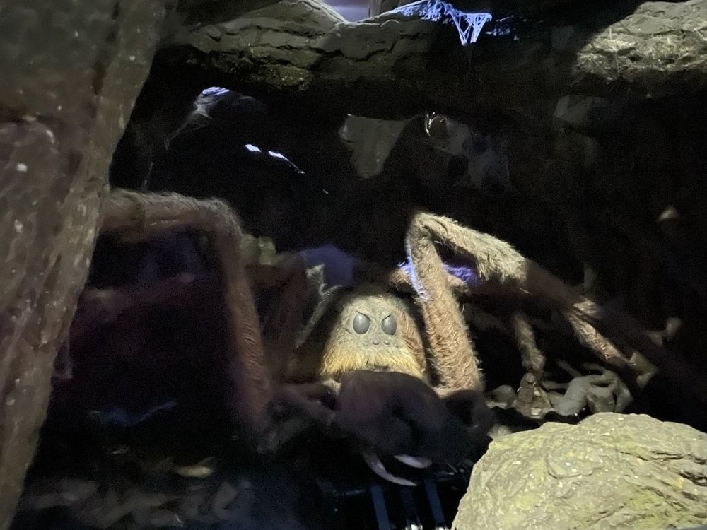 warner bros. harry potter london forbidden forest acromantula