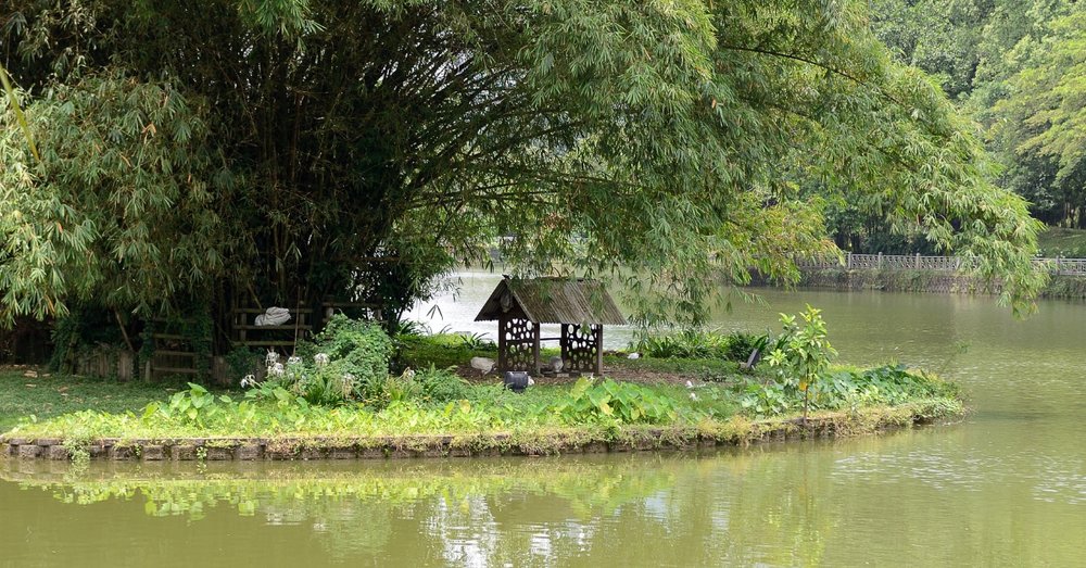 Vườn Bách Thảo Perdana Botanical Gardens