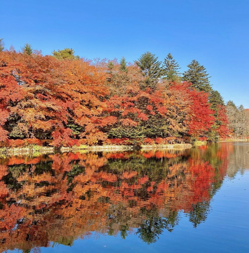 輕井澤紅葉 雲場池