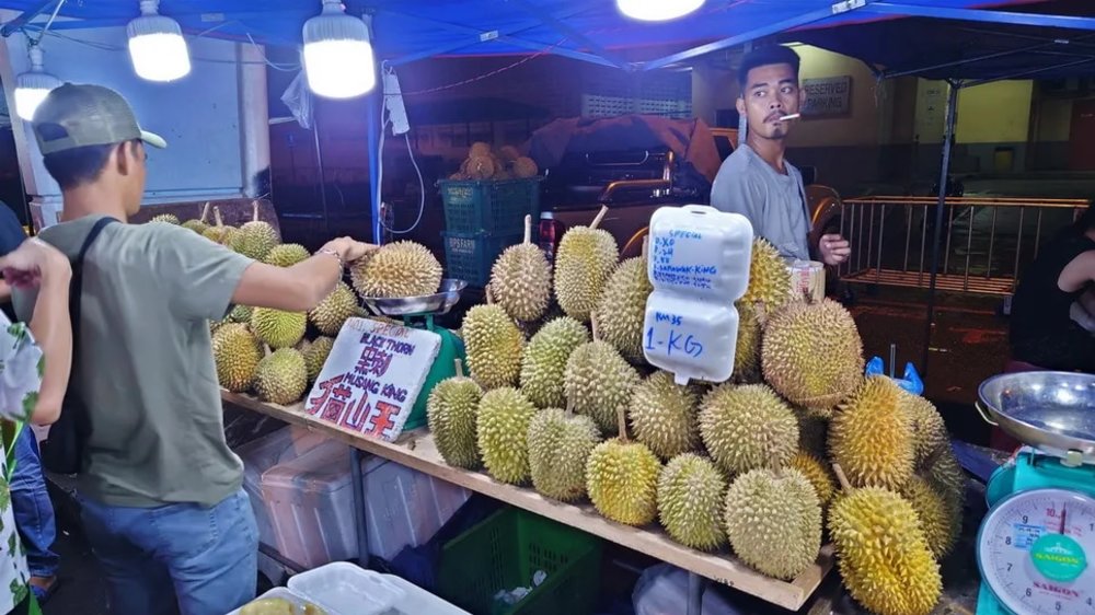 【沙巴自由行】天氣、機票、酒店住宿全攻略!出發前必讀懶人包