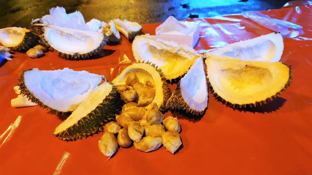 【沙巴自由行】天氣、機票、酒店住宿全攻略!出發前必讀懶人包