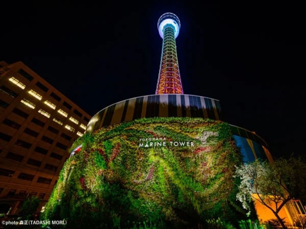 橫濱海洋塔 