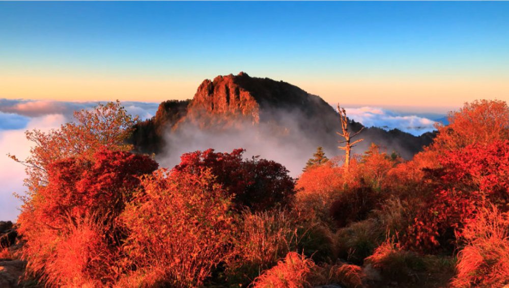 韓國賞楓:智異山