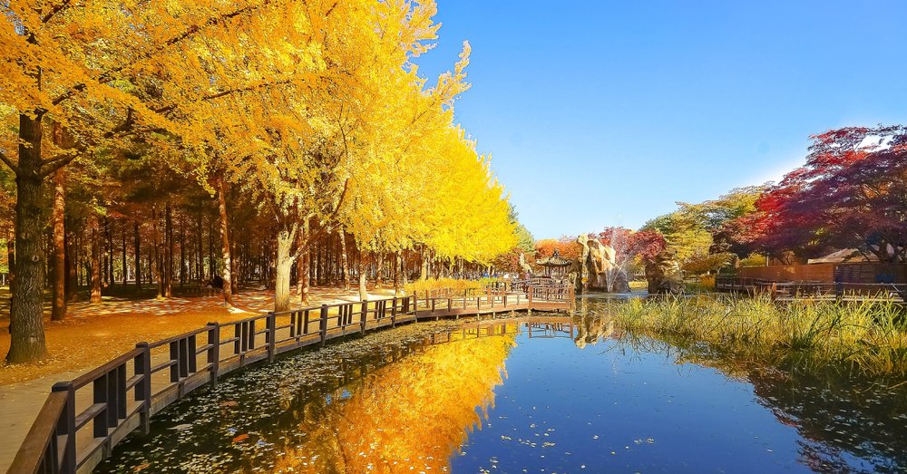 phong-canh-han-quoc-seoul