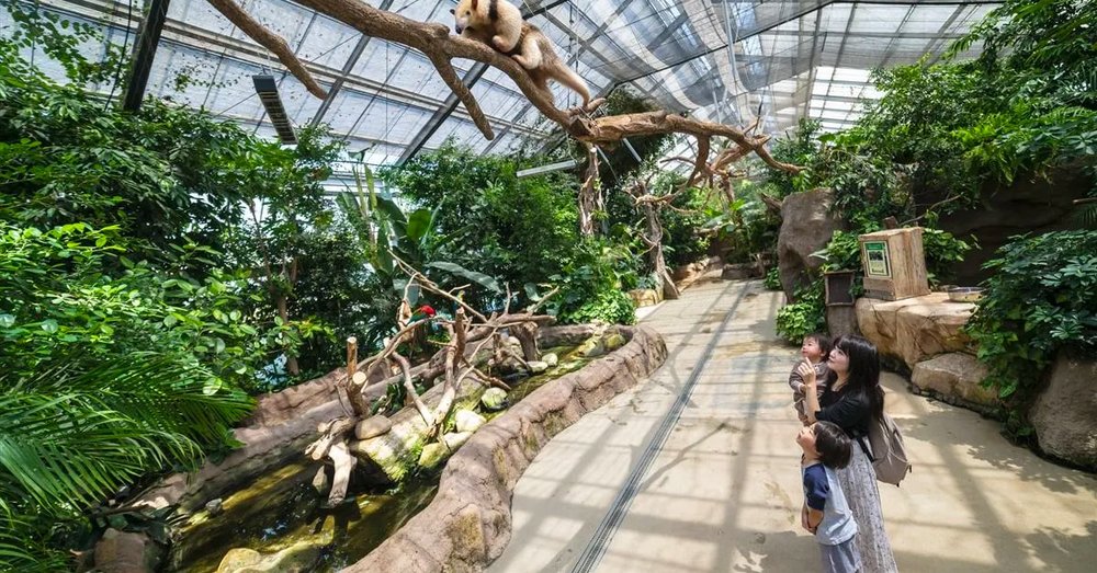 Vương Quốc Động Vật Kobe 