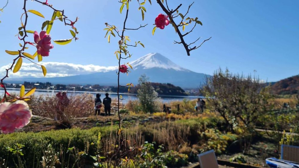 Mt Fuji 3