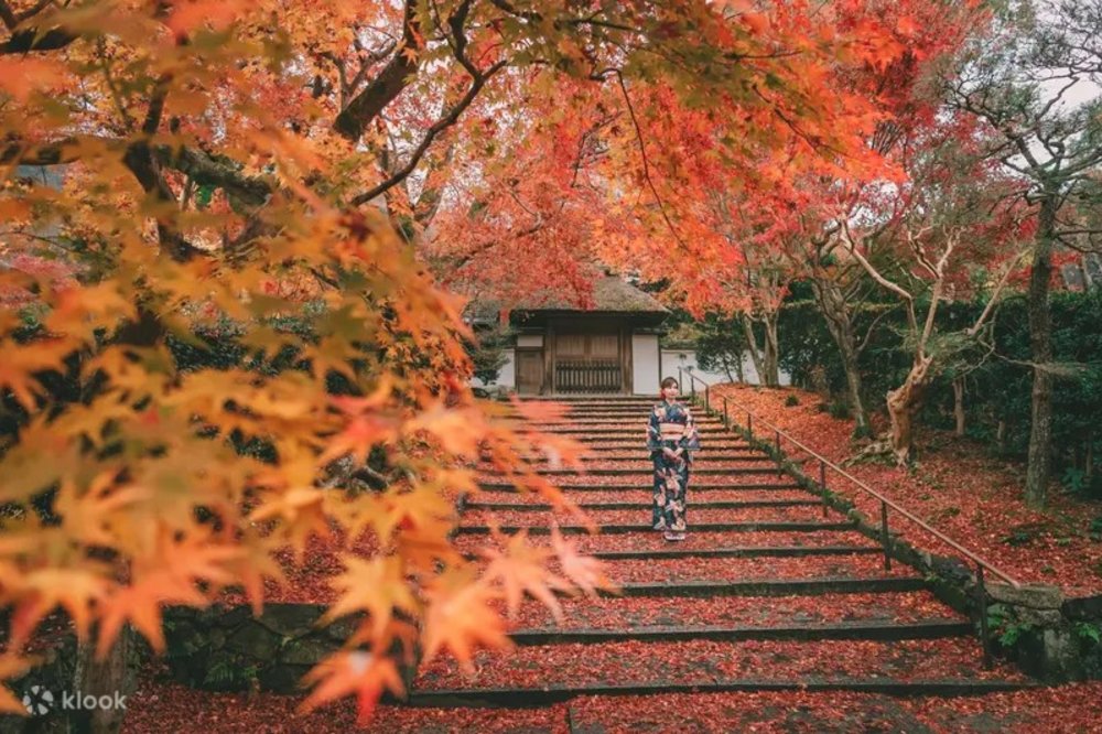 woman in kimono during fall