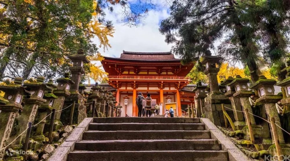 Japanese shrine surrounded by trees