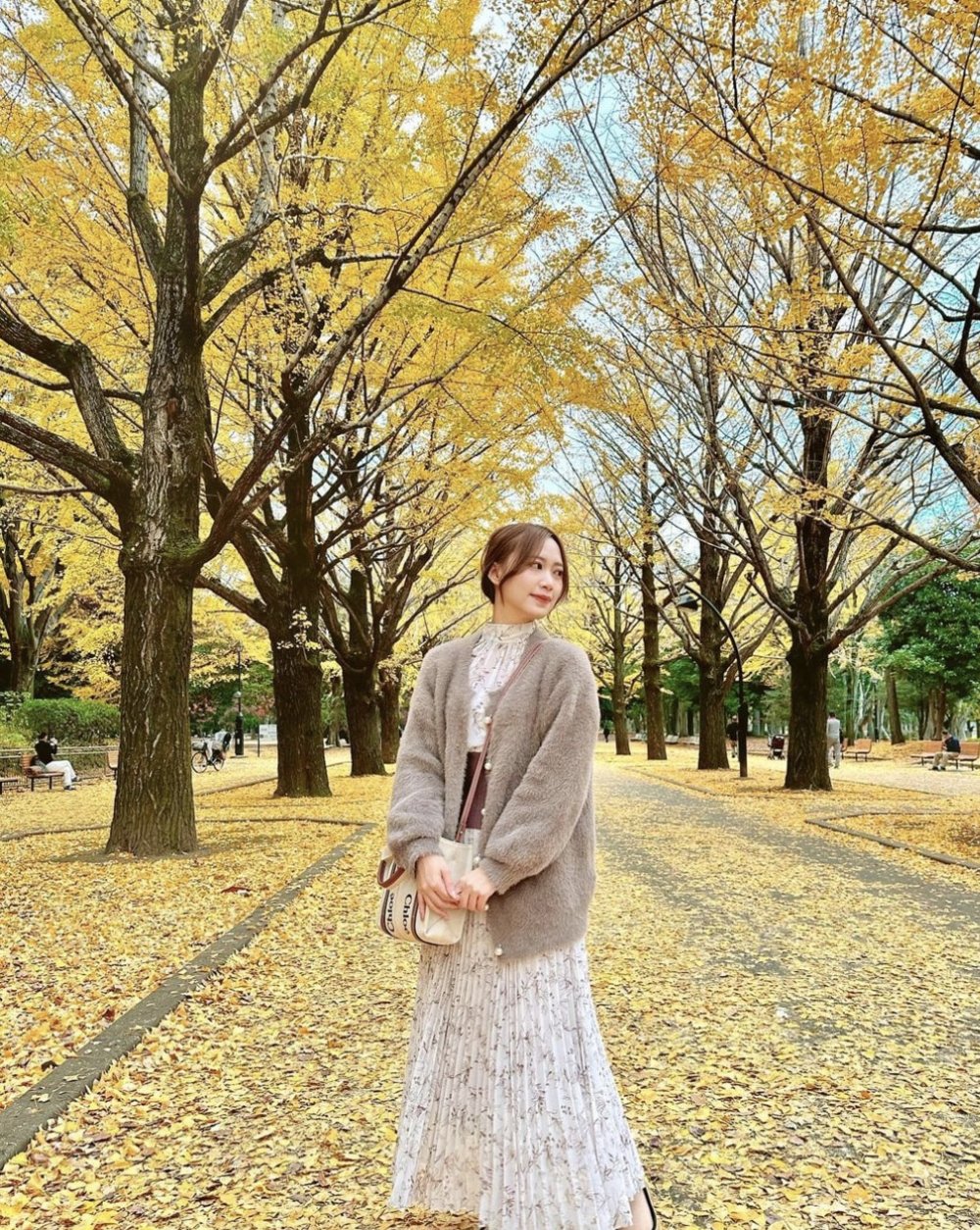 東京銀杏 光之丘公園