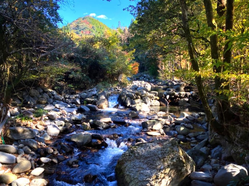 九州溫泉 九州 九州溫泉酒店 別府 由布院 熊本 鹿兒島