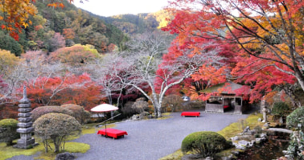 Hakuryu-en Garden Kyoto saat Musim Gugur.