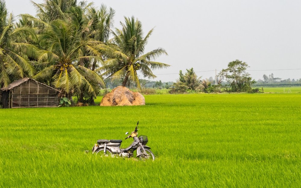vn south