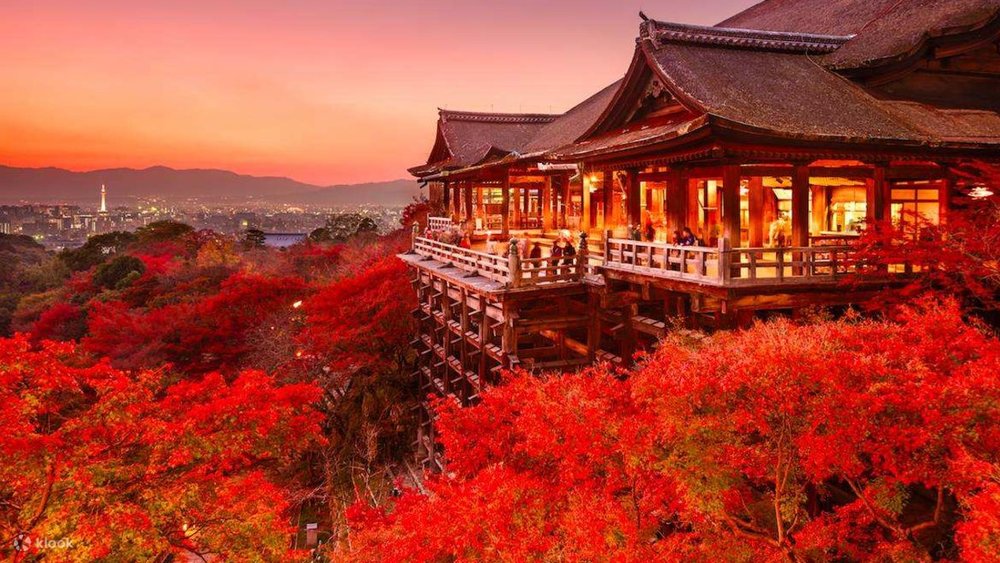 嵐山紅葉 嵐山 京都 嵐山楓葉 楓葉 嵐山紅葉2023