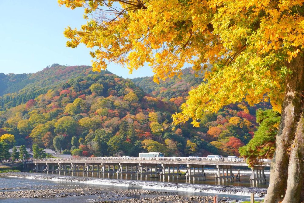 嵐山紅葉 嵐山 京都 嵐山楓葉 楓葉 嵐山紅葉2023
