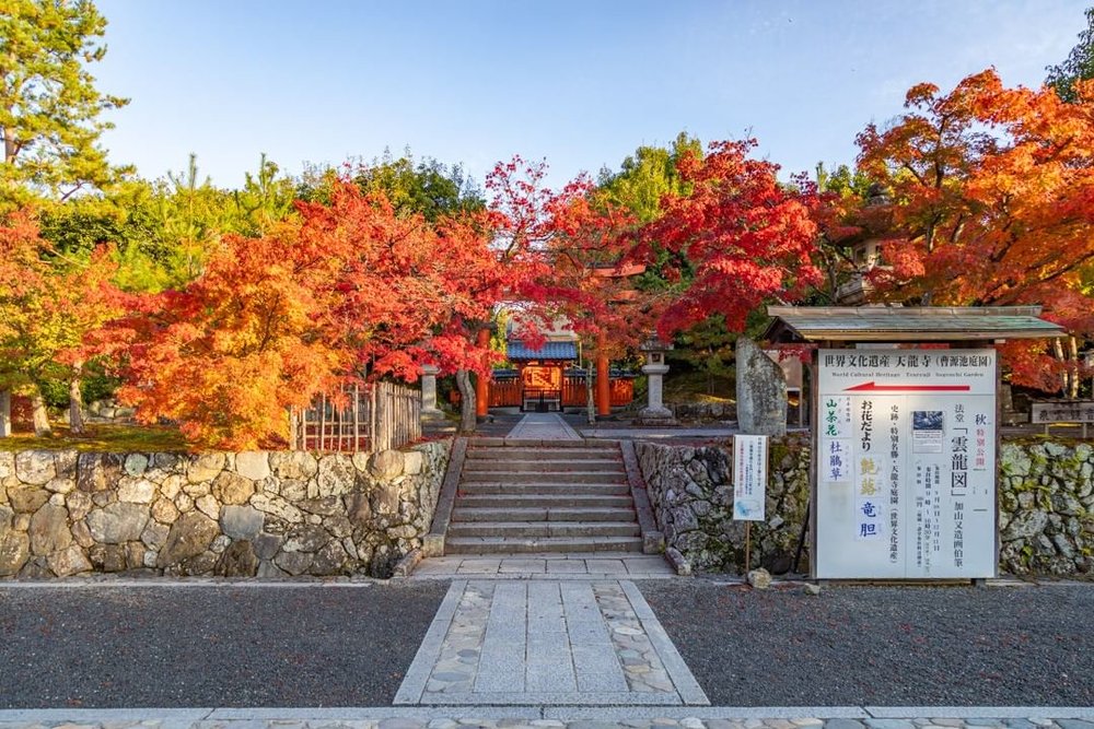 嵐山紅葉 嵐山 京都 嵐山楓葉 楓葉 嵐山紅葉2023