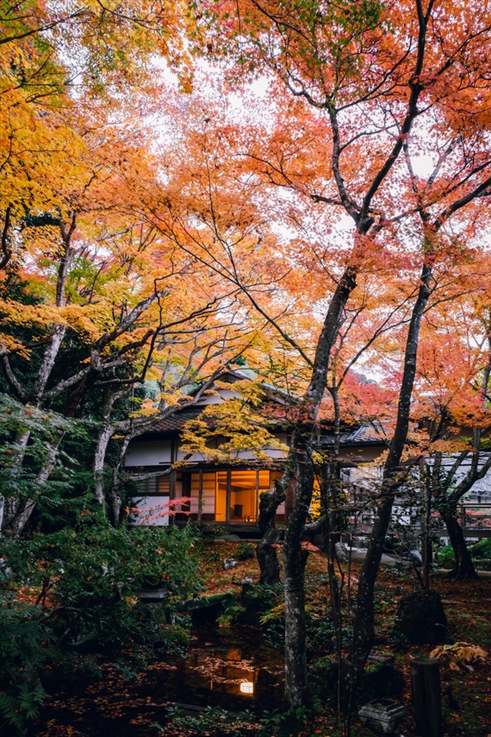嵐山紅葉 嵐山 京都 嵐山楓葉 楓葉 嵐山紅葉2023