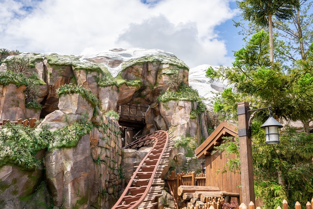 roller coaster in world of frozen