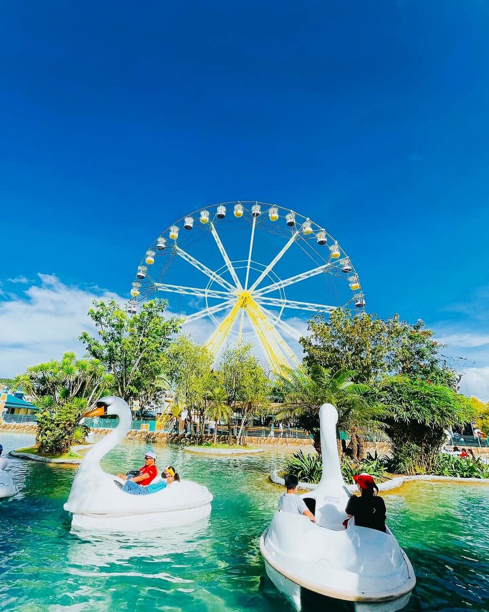 Swan ride in Enchnated Kingdom 