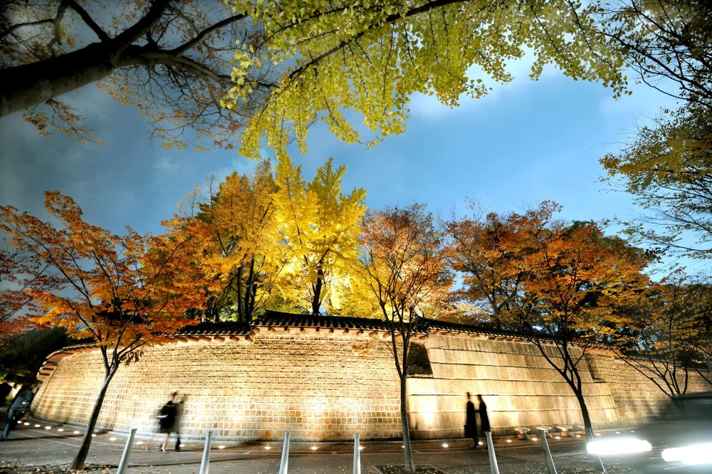 Deoksugung Stonewall Walkway Seoul in Autumn