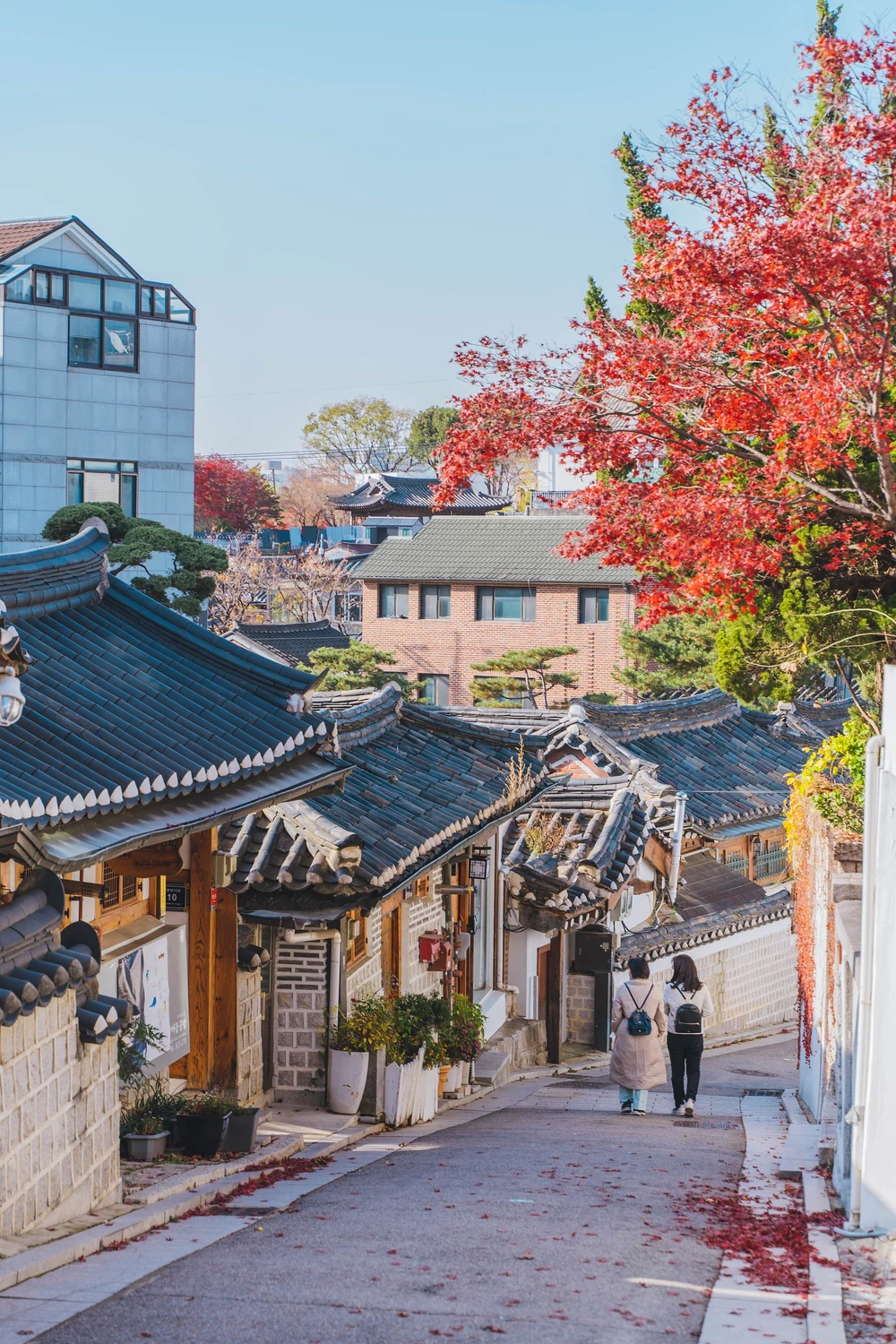 Bukchon Hanok Village Soul in Autumn - Photo by Roméo A. on Unsplash